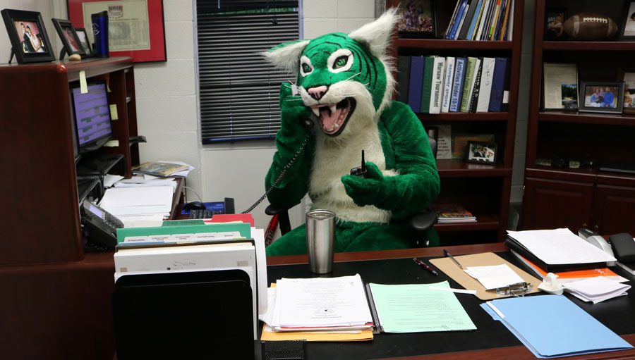 Wally the Wildcat sits in for assistant principal Billy Daleske. Wally likes to pitch in and help where he can.