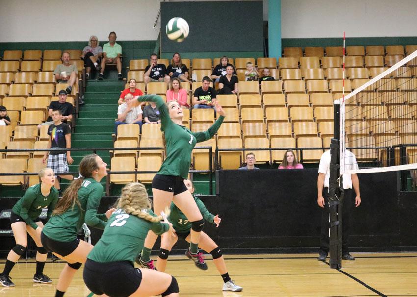 Junior Hannah Chapman spikes the ball during the Sept. 13 game against Adrian. The Cats lost the match in two sets against the Blackhawks.
