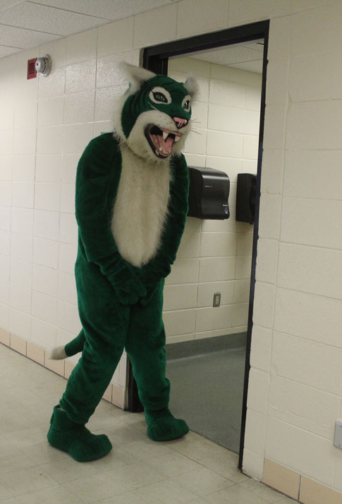 Wally the Wildcat waits patiently outside the bathroom for his turn.