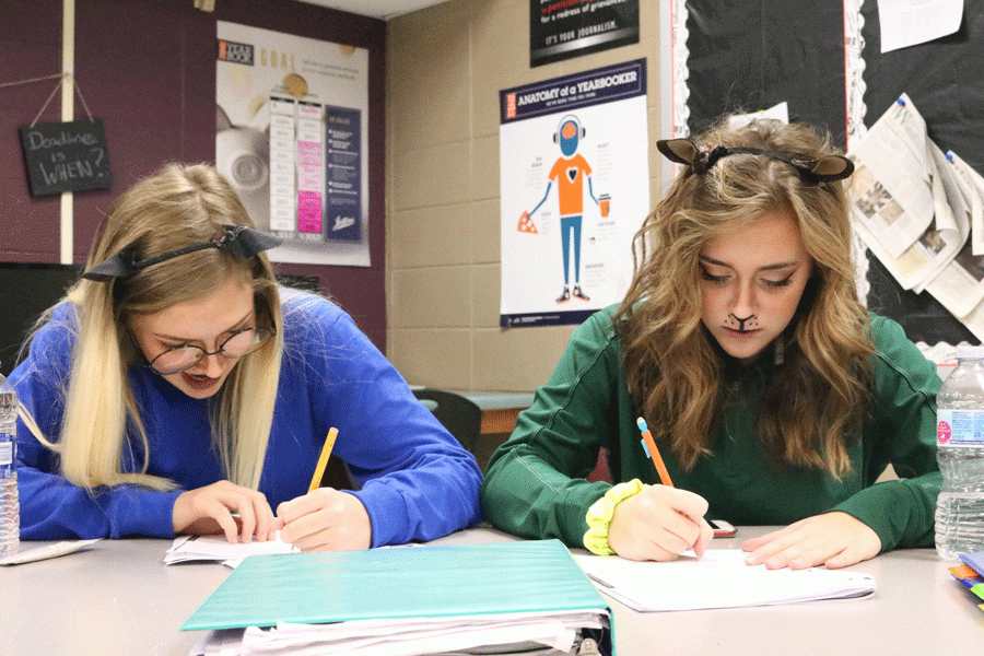 Sophomores Rayni Simons and Kiersten Grobe spend their first hour doing homework while twinning as cats. 