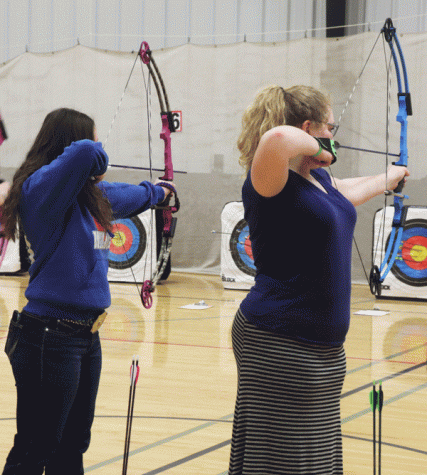 Archers take aim at state, Brown places 17th in state