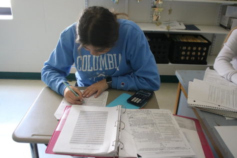 Senior Anna Siegal works on her calculus  homework in Mrs. Spunaugles Third hour class. 