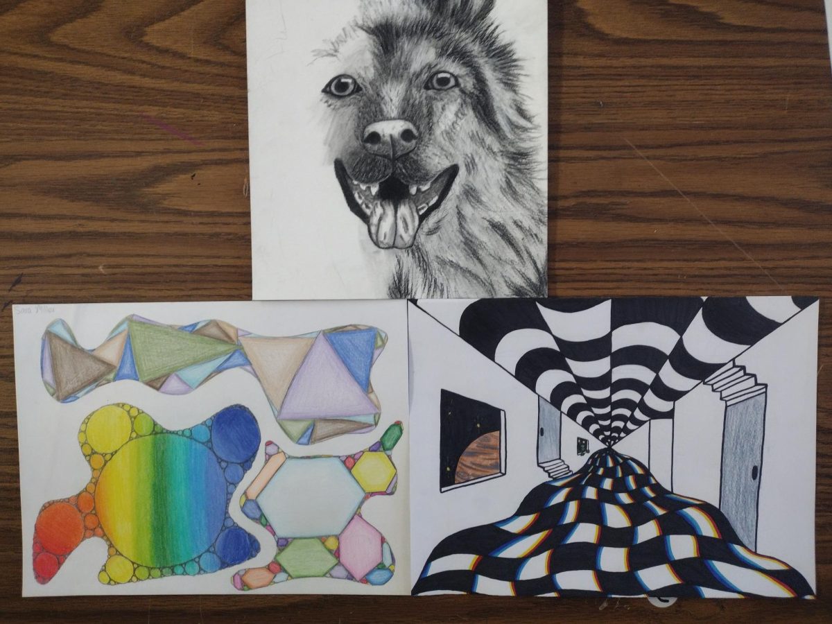 Sara Millers October photos, including the graphite dog, color blocks, and two way hall