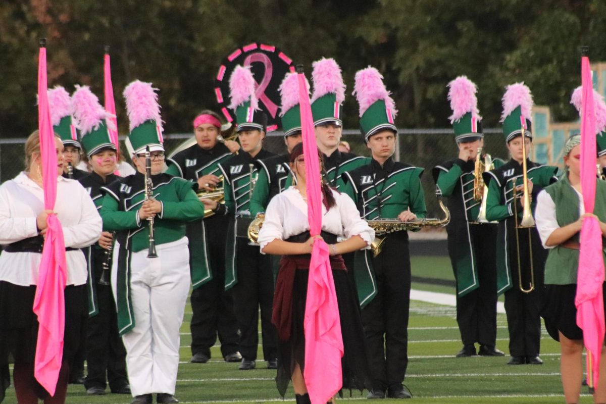  The band marches onto the field wearing pink at the El Dorado Springs home game on Oct. 4. The band performed a half time show.
