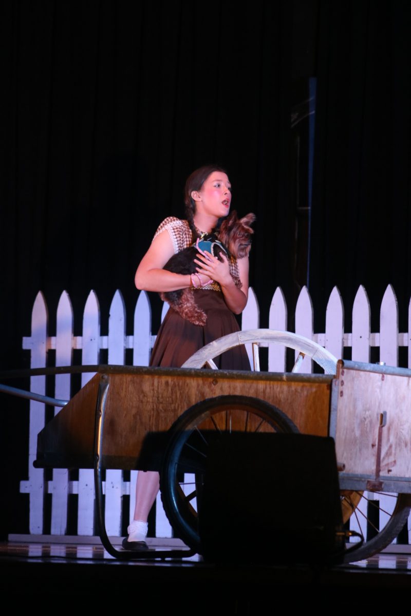 Senior Kathryn Lomax played Dorthy in the Wizard of Oz musical in early November.  Lomax holds junior Kimberly Tenold’s dog, which was used as Toto. The musical was presented on Nov. 2 and 3.